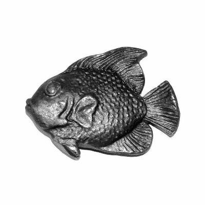 фото Рыба 6325