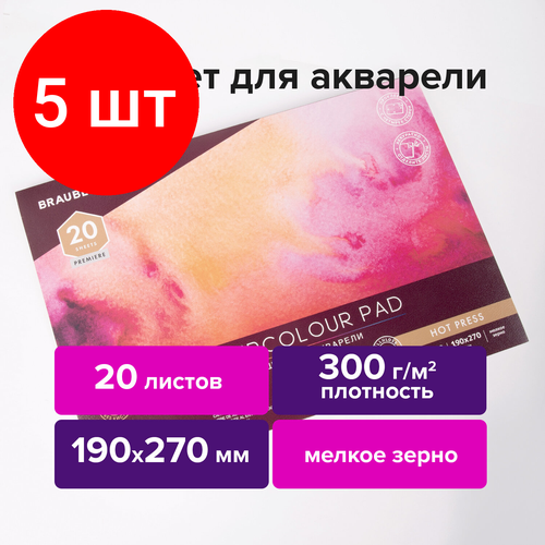 Комплект 5 шт, Папка для акварели/планшет, 300 г/м2, 190х270 мм, склейка, мелкое зерно, 20 л, BRAUBERG ART PREMIERE, 113246