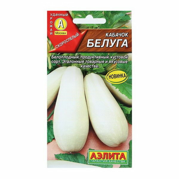 Семена Кабачок 
