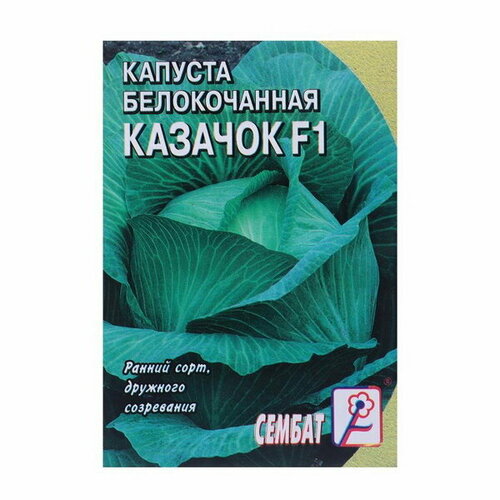 Семена Капуста белокачанная Казачок F1, 0.1 г семена капуста белокачанная казачок f1 0 25 г