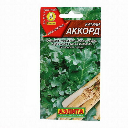 Семена Катран Аккорд, ц/п, 0.3 г семена катран аккорд ц п 0 3 г агрофирма аэлита