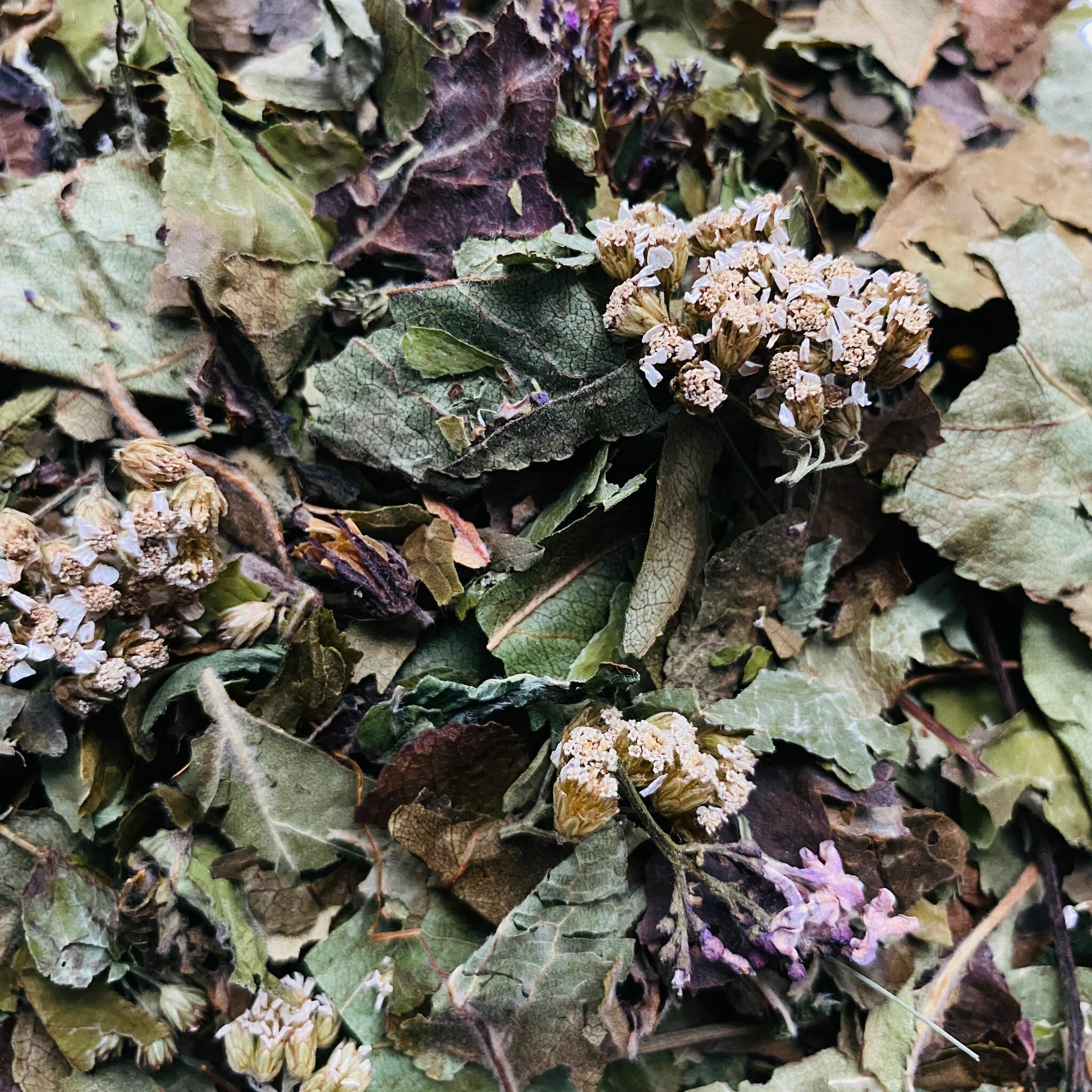 Травяной, зеленый чай тысячилистником, листья яблони и вишни 60 гр г Magic village, фиточай, травяной сбор