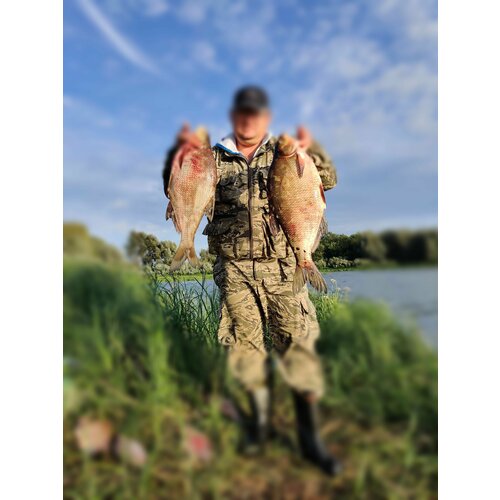 Снасть для ловли Леща. Идеальный подпуск. Фидер с лодки.