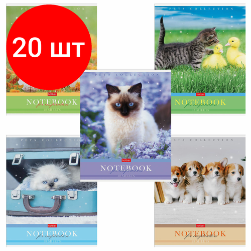 Комплект 20 шт, Тетрадь А5 48 л. HATBER скоба, клетка, обложка картон, Усы, лапы, хвост (5 видов в спайке), 48Т5В1 тетрадь а5 48 л hatber скоба клетка обложка картон усы лапы хвост 5 видов в спайке 20 шт