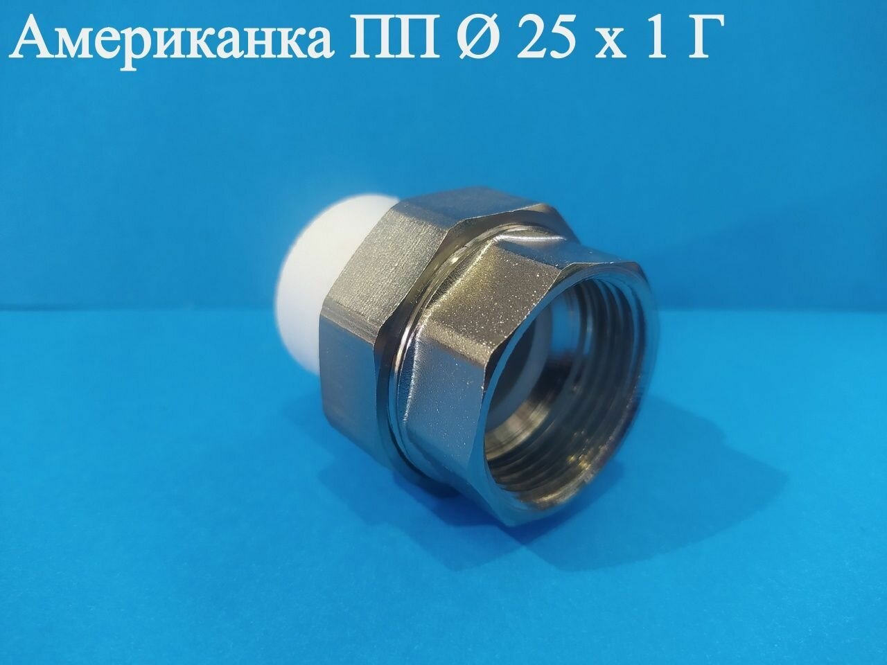 фото Американка ПП Ф 25 х 1 Г ViEiR