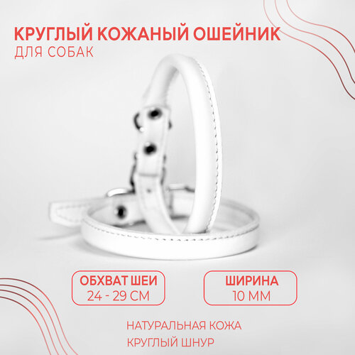 Круглый кожаный ошейник (обхват шеи 24-29 см.) для маленьких пород собак с пушистой шерстью / Белый