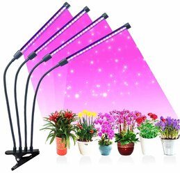 Фитолампа для растений и рассады. Лампа для растений светодиодная с адаптером и таймером отключения полный спектр 4х10 (40 Вт) на прищепке.