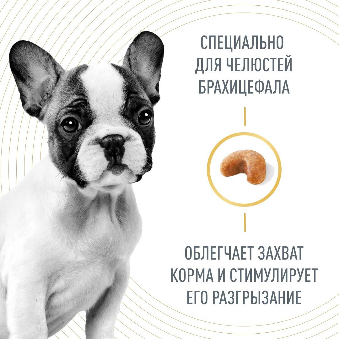 Корм для щенков ROYAL CANIN - фото №4