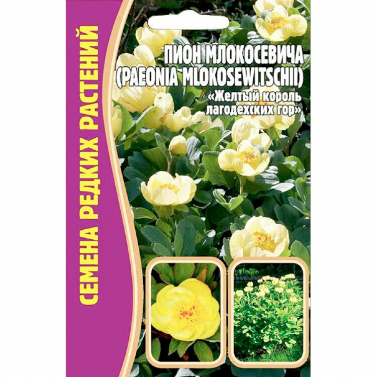 Семена Пиона Млокосевича (желтый пион лагодехских гор) (3 сем.)