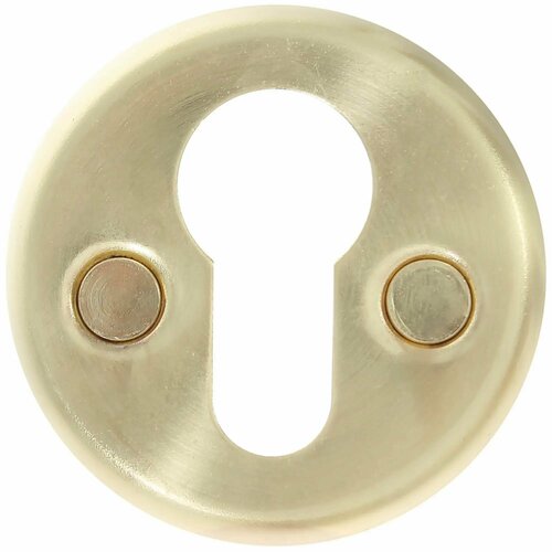 золотистый, золотой