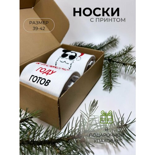 фото Носки , 2 пары, размер 39-42, белый нет бренда