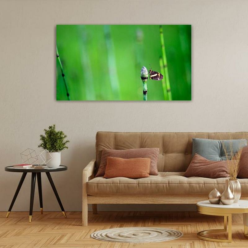 Картина на холсте 60x110 LinxOne "Бабочка, трава, фон" интерьерная для дома / на стену / на кухню / с подрамником