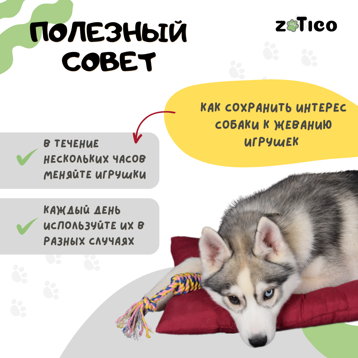 Набор игрушек для мелких и средних пород собак и щенков "ZOTICO" - фотография № 7