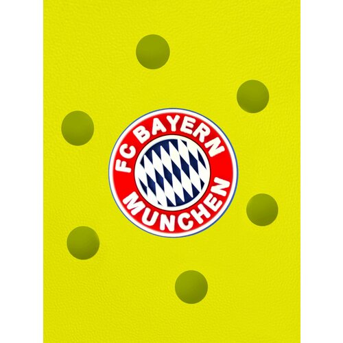 Украшения для обуви