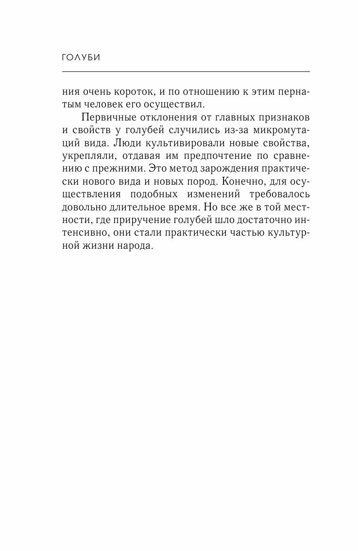 Голуби (Степнов Евгений Андреевич) - фото №6
