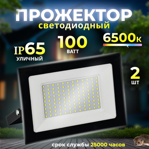 Прожектор светодиодный уличный 100 Вт 6500К IP65 2 шт
