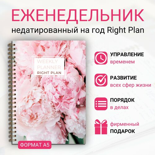 Ежедневник недатированный Right Plan 