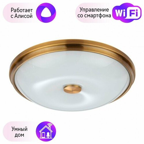 Настенно-потолочный светильник Pelow Odeon Light с поддержкой Алиса 49564-A 16104₽