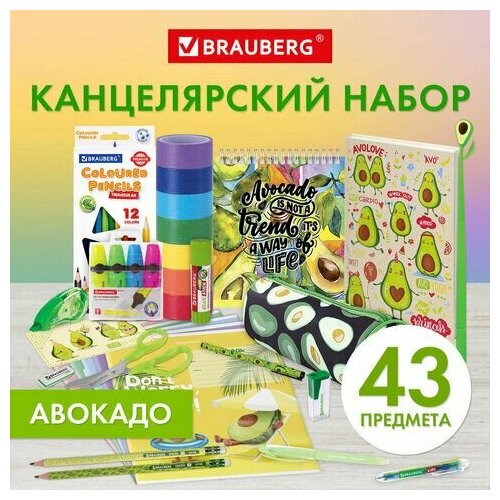 Набор канцелярии подарочный BRAUBERG AVOCADO, 18 наименований, 43 предмета, 880951