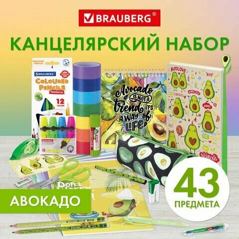 Набор канцелярии подарочный BRAUBERG "PASTEL" 18 наименований 63 предмета 880952