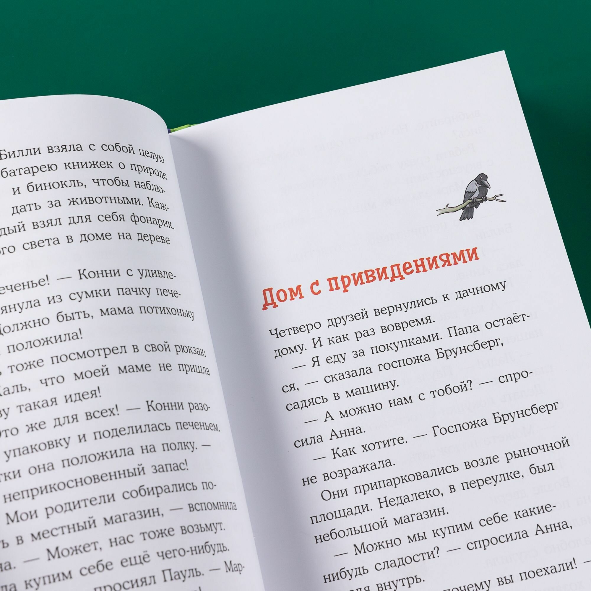 Домик на дереве. Лучший друг - Конни. Детские детективы - фото №12