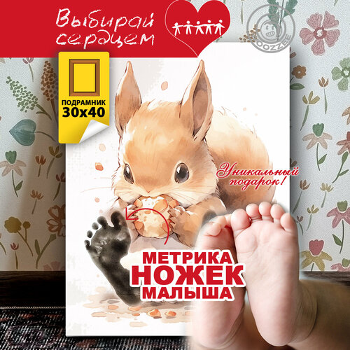 Метрика ножек Белка 445₽