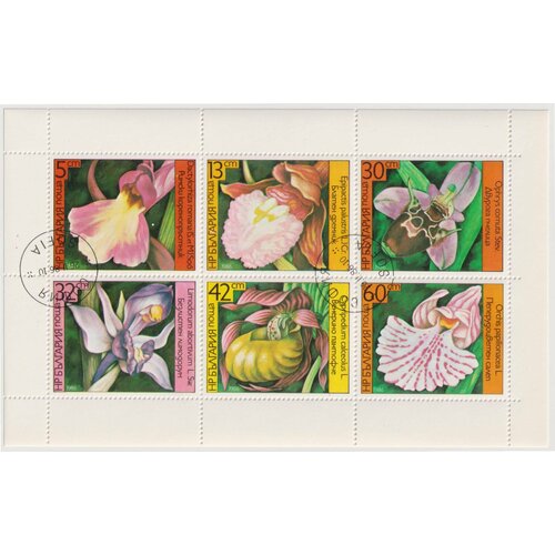 Почтовые марки Болгария 1986г. Орхидеи Цветы, Орхидеи U