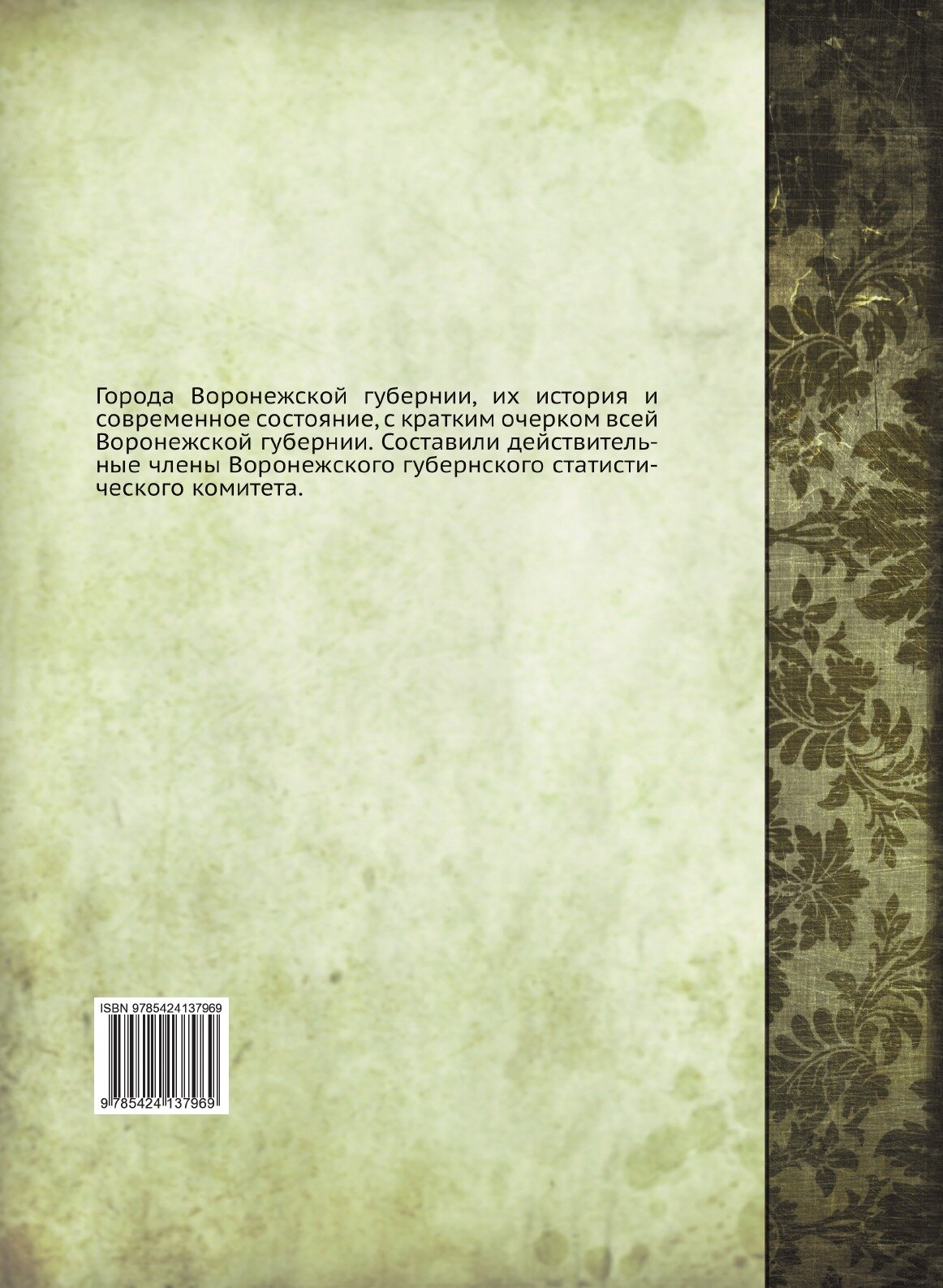 Книга Города Воронежской Губернии - фото №2