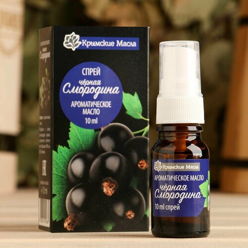 Ароматическое масло Черная смородина 10 мл спрей 537₽