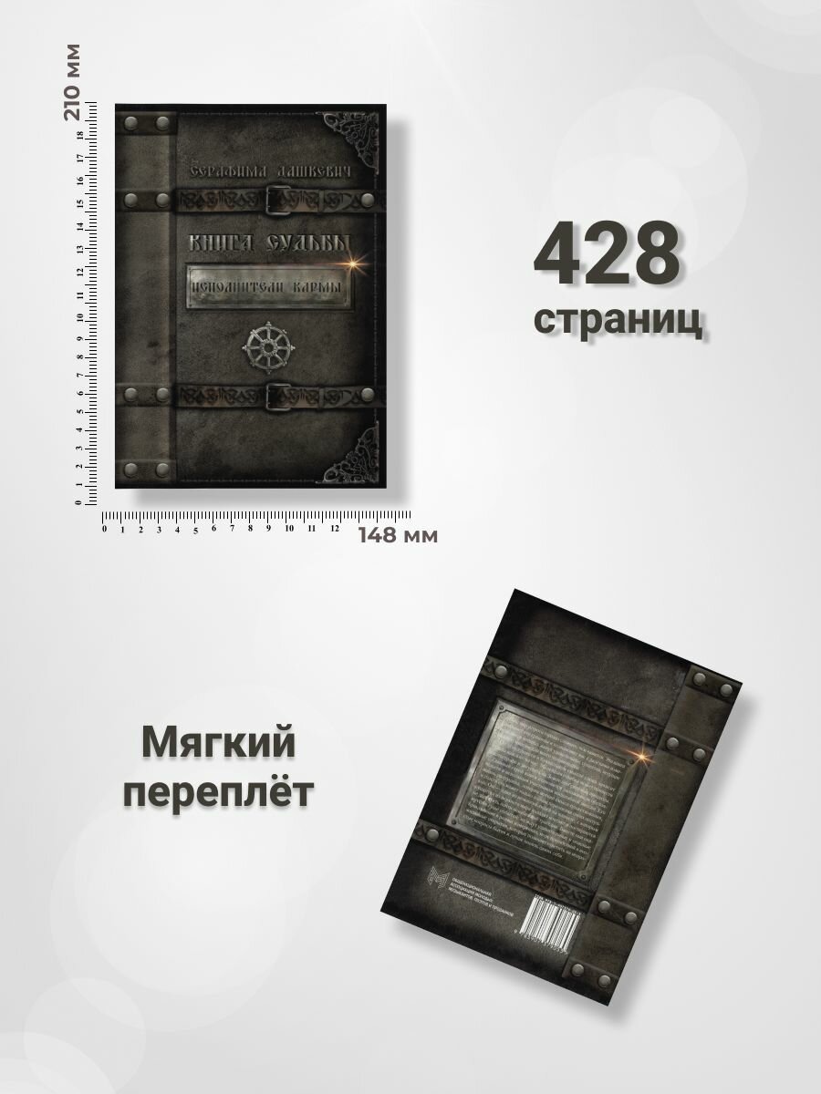 Книга Судьбы. Исполнители кармы - фото №5