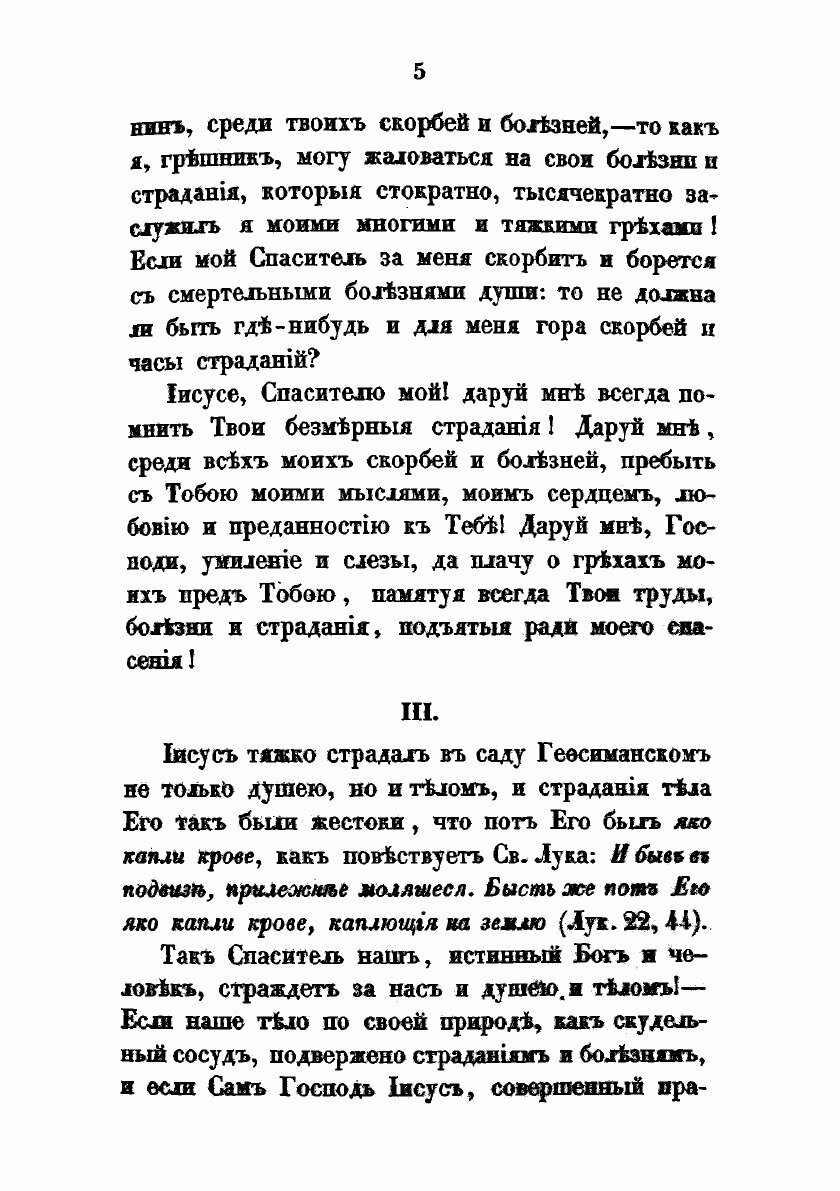 Книга Размышления о страданиях Господа нашего Иисуса Христа - фото №3