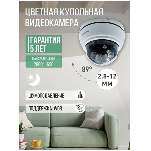 Купольная видеокамера IPTRONIC IPT-QHD1920DP28-12 920000₽