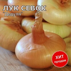 Лук севок на посадку "Дедуля" 1 кг