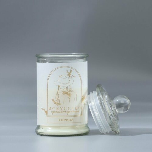 SEE YOU HOME Ароматическая свеча Искусство аромат корицы 115 х 58 см 523₽