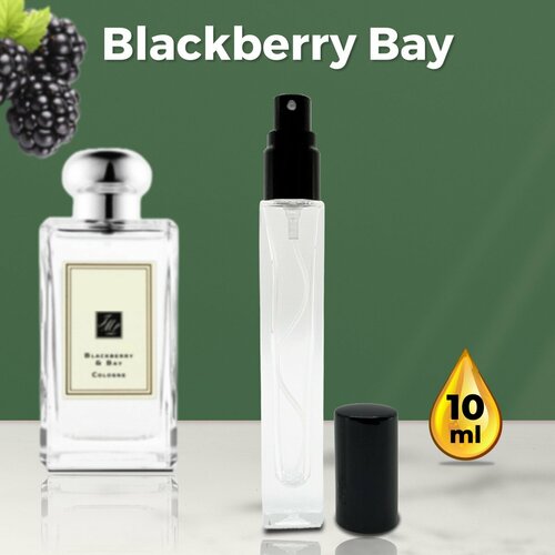 Blackberry Bay - Духи женские 10 мл + подарок 1 мл другого аромата