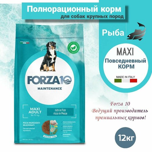 Сухой корм для собак Forza10 Maxi Maintenance крупных пород /рыба /12кг