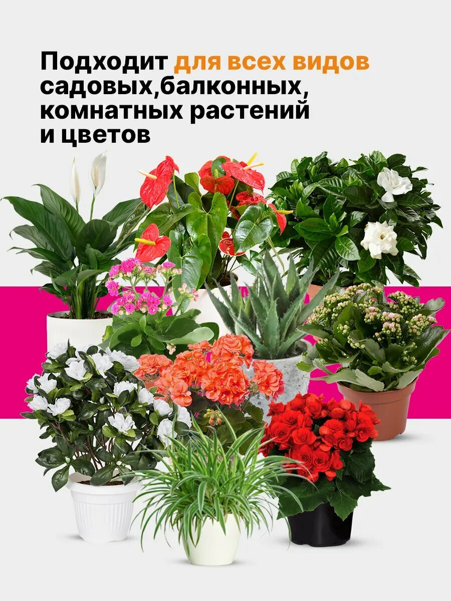 Удобрения Для Растений Удобрение для комнатных растений