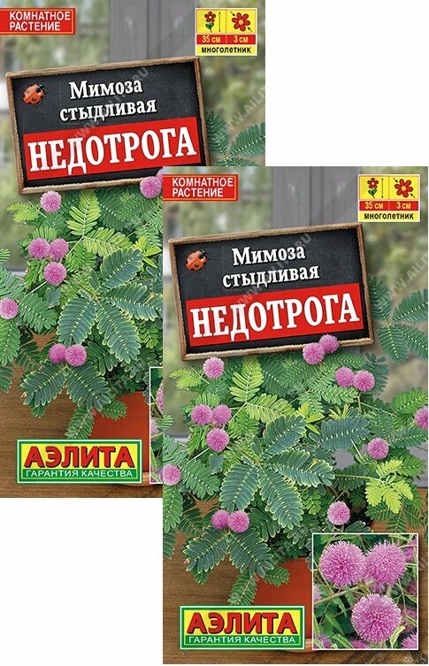 Семена Мимоза Недотрога (10 семян) 2 пакета Агрофирма Аэлита