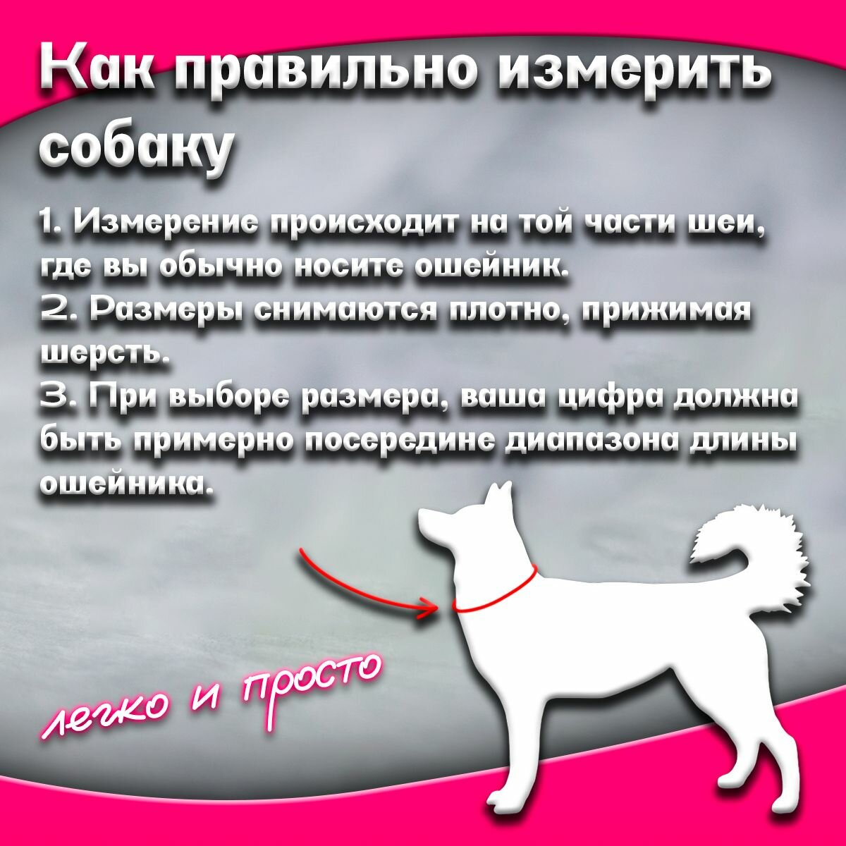 Ошейник для собак Buddy team на пряжке, с вышивкой мамина булочка, ширина 5 см, с мягким подкладом для средних и крупных пород, размер M — фото 1