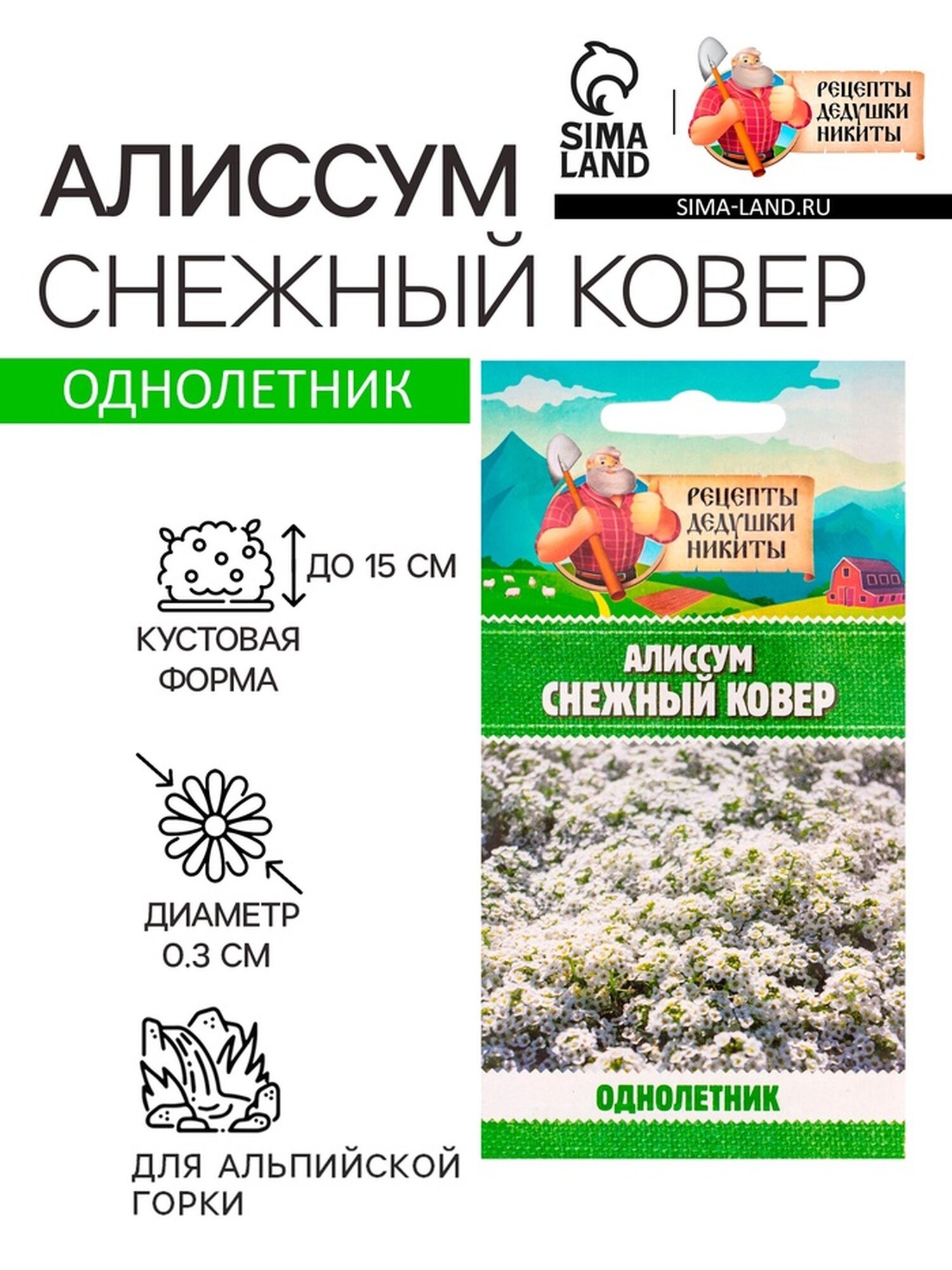 Семена цветов Алиссум 