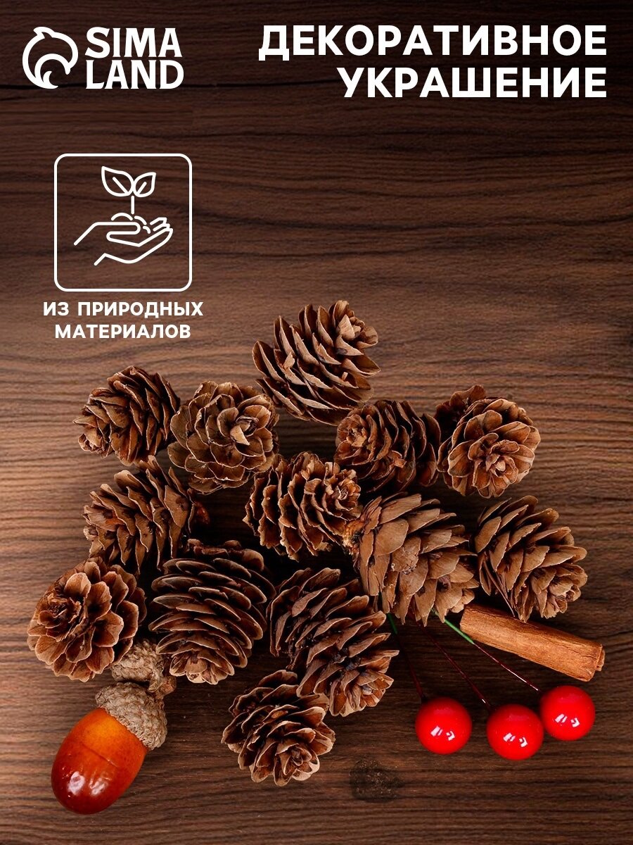Набор новогоднего декора Лесная мастерская  Пряные шишки   коричневый красный