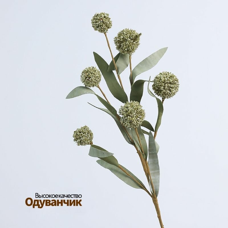 Стабилизированные цветы, Одуванчик, 4 штуки