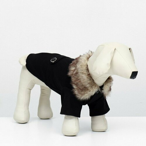 Пальто для собак, размер S (ДС 25, ОГ 38-39, ОШ 25-26 см), чёрное (комплект из 2 шт) пальто для собак размер s дс 25 ог 38 39 ош 25 26 см чёрное