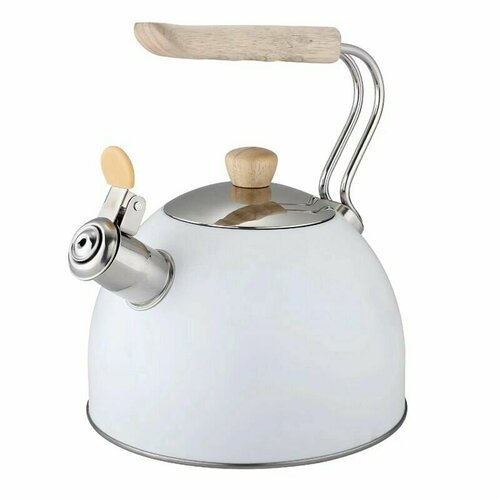 Чайник нержавеющая сталь электрочайник 915700₽