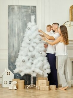 фото Сосна белая искусственная