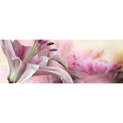 Dec Calido Dance C Декор 25х70