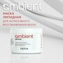 Маска для волос Tefia Color Creats Ambient Service Lipid Mask for Damaged Hair pH 4.5, 500 мл