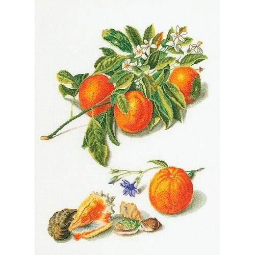 thea gouverneur наборы для вышивания 432а цветочный сад 45 х 24 см Набор для вышивания Thea Gouverneur 3061 Апельсины и мандарины