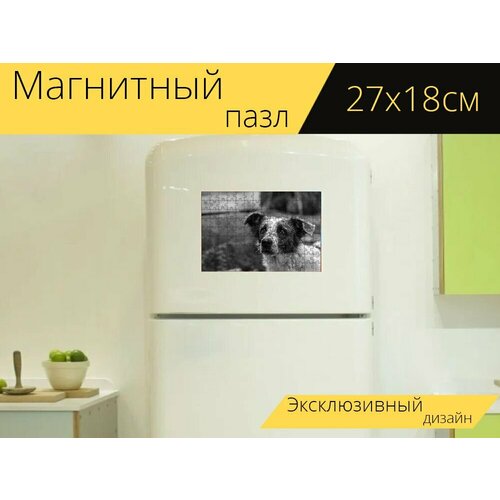 Магнитный пазл Собака, животное, домашние питомцы на холодильник 27 x 18 см.
