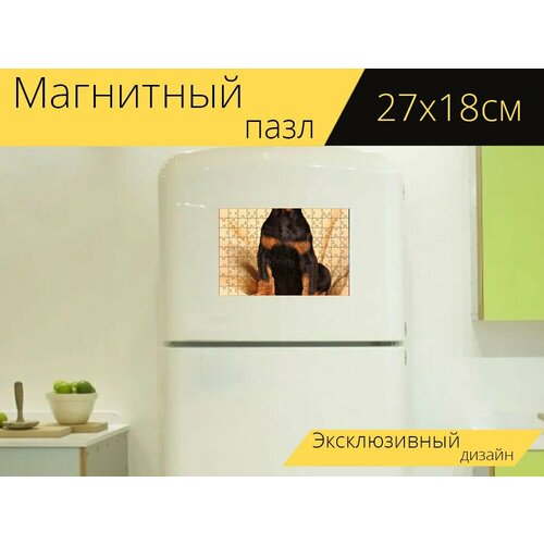 Магнитный пазл Собака, доберман, домашний питомец на холодильник 27 x 18 см. магнитный пазл доберман собака домашний питомец на холодильник 27 x 18 см